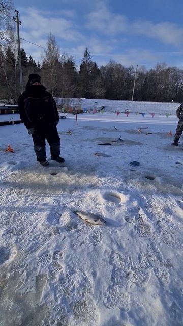 Поимки на актив смотреть онлайн