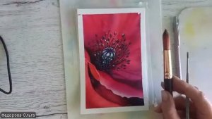 Акварель.  Маковая сердцевина