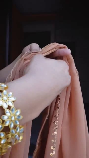 Saree Pallu pleating hack … pura din chalega #saree #hack #pallu смотреть онлайн