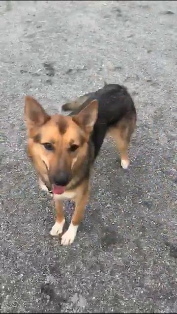 WhatsApp Video 2020 10 13 at 15 18 51 смотреть онлайн