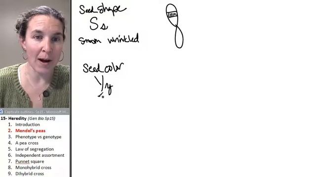 Heredity 2- Mendel's Peas