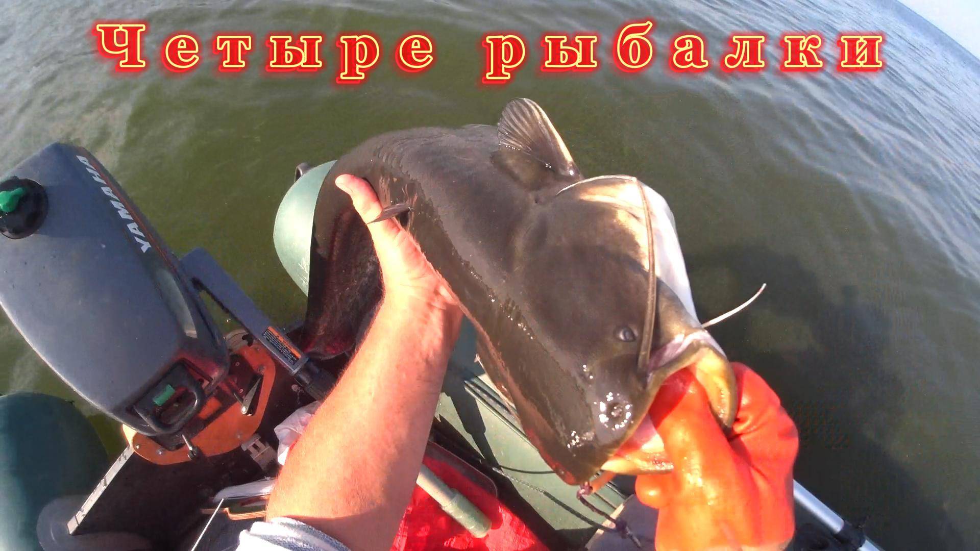 СОМ на КВОК . Эхолот определяет УСПЕХ !!!