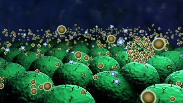 Crepe Myrtle SURPRISING Benefits Antiviral смотреть онлайн