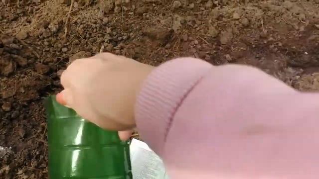 Ранняя зелень на салаты. смотреть онлайн