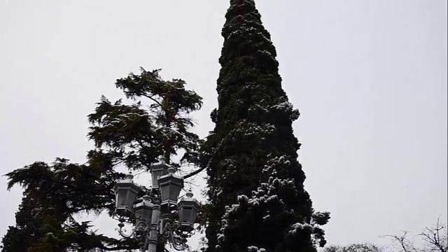 г. Ялта. Набережная. А снег идет... 17.02.2025 год. смотреть онлайн