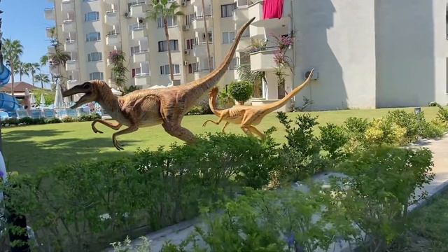 Club Sun Heaven Family Otel / Alanya Tatil Vlog#vlog смотреть онлайн