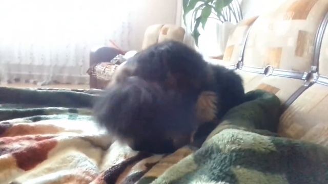 Неудачное сравнение тимохи и евы смотреть онлайн