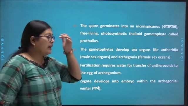General characteristics of bryophytes, pteridophytes and gymnosperms смотреть онлайн