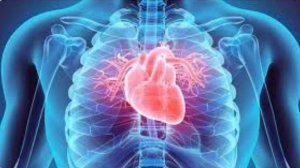 Коррекция сердечно-сосудистой системы Матрица Гаряева