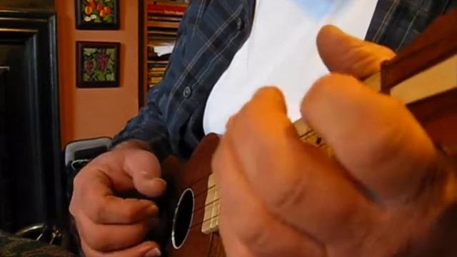 A Bluegrass Calypso - Faster Version