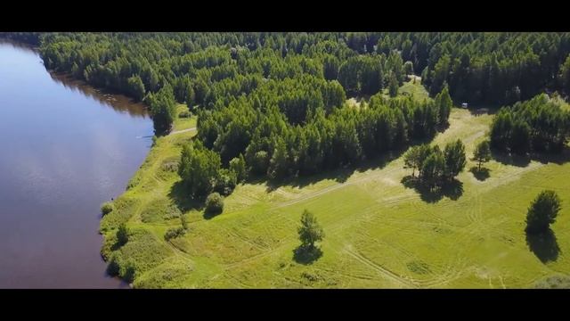 для Mr. Птица смотреть онлайн