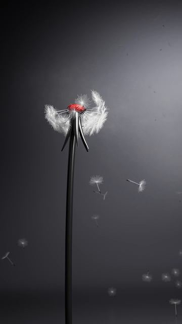 STORM | Dandelion смотреть онлайн