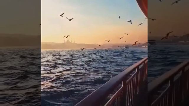 Аллахумма Салли ъало Мухаммад ъало оли Мухаммад смотреть онлайн