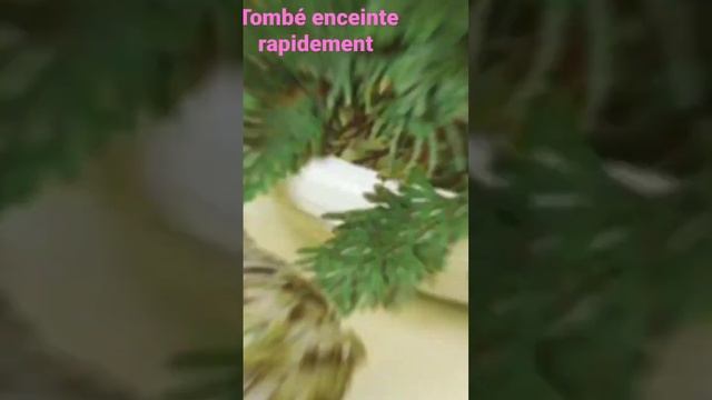 je veux tomber enceinte très rapidement| la solution #dermatology #short #youtube смотреть онлайн