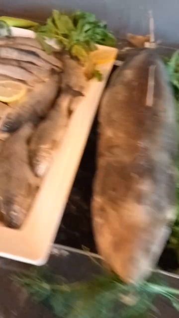 Arnor de Luxe Hotel Side Turkey рыбный день смотреть онлайн