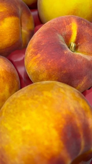 #shorts / YELLOW PEACH / TRÁI ĐÀO VÀNG смотреть онлайн