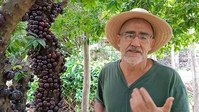 Se comer o caroço da jabuticaba e "prender" a solução pra "soltar" é ... смотреть онлайн