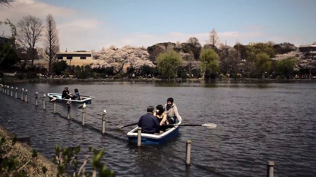 Sakura in Tokyo 2012 смотреть онлайн