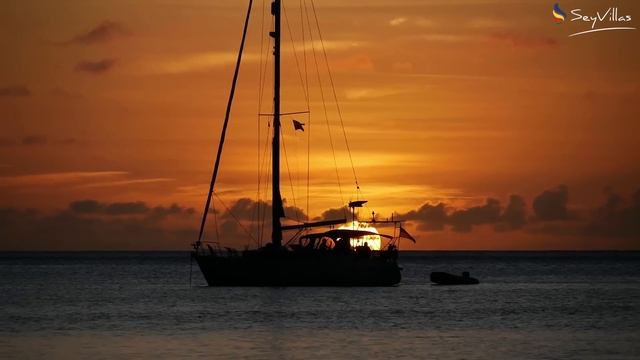 Commenti su SeyVillas: Francesco e Selina a Mahé смотреть онлайн