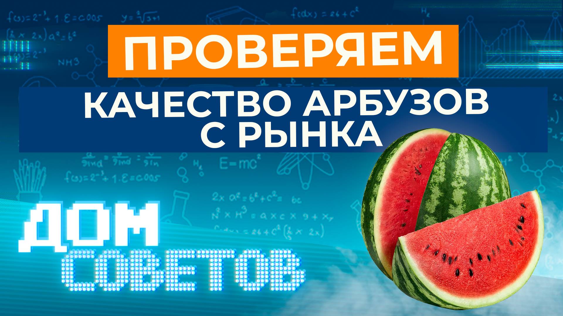 Проверяем качество арбузов с рынка смотреть онлайн