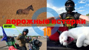 ч 10. Мотопутешествие. Дорожные истории