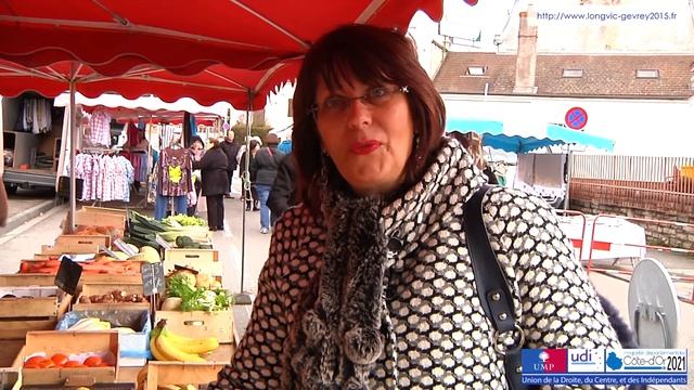 Canton de LONGVIC-GEVREY - Jean-Philippe MOREL et Mary QUINTALLET смотреть онлайн