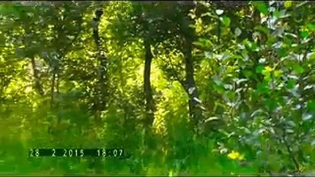 Tebriz Asiqlari Asiq Vedud.    Muxeyi Asiq Havasi