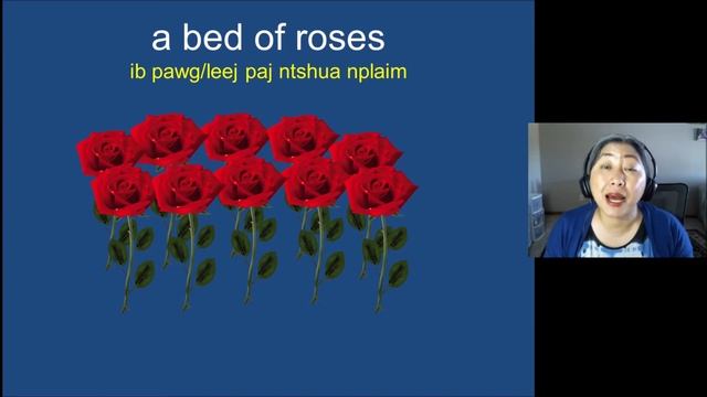 Qhia English Txog Cov Lus Paj Lug-English Idioms Part 1 смотреть онлайн