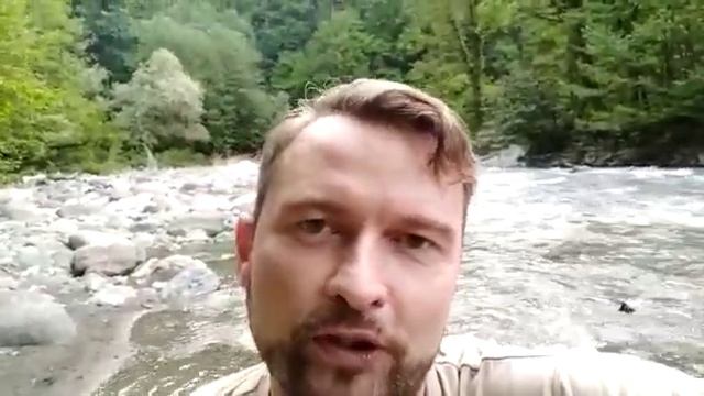 Отдых в лесу по-сочински смотреть онлайн