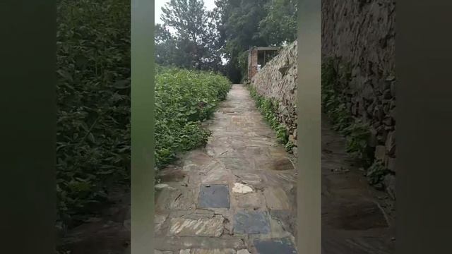 Храм Ума Махешвар, Киртипур, Непал. смотреть онлайн