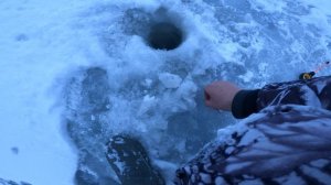 Рыбалка в Карелии.Это был ад.Разбили снегоход и мотособаку. Утопили машину.