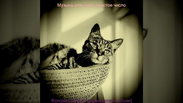 Мечты (Кошки) смотреть онлайн