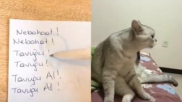 Kalemkutu yapma(9) смотреть онлайн