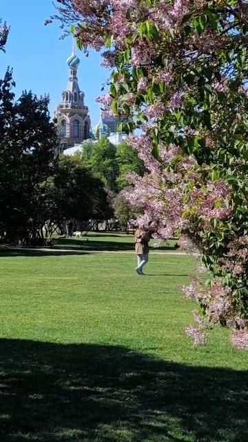 Цветение сирени и православный храм // Петербург смотреть онлайн