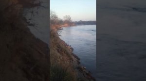 Вечерняя Зорька...