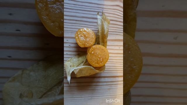 Sowing Ground Cherries/Inca Berries/Golden Berries/Physalis смотреть онлайн