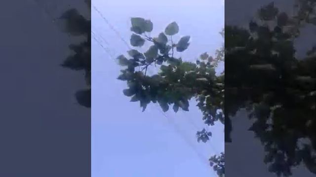 Харьковские пацаны отдыхают на последний звонок смотреть онлайн