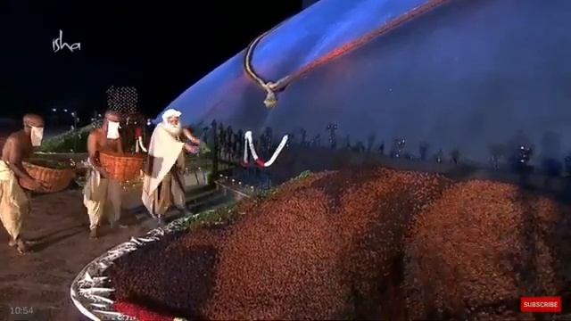3 Million Rudraksha Consecrated by Sadhguru on Mahashivratri | Get energized Rudraksha Free смотреть онлайн
