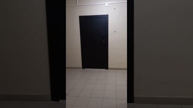 Студия в Кудрово смотреть онлайн