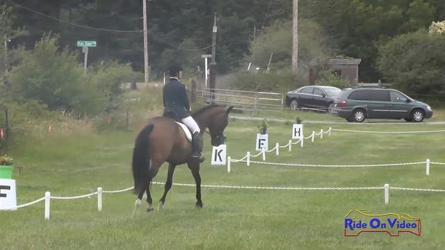 273D Mary Burke on Out of the Blue Open Novice Dressage Whidbey Island July 2017 смотреть онлайн