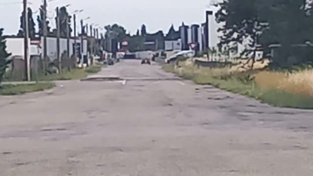 Белият лебед до поляната 8.06.2023 смотреть онлайн