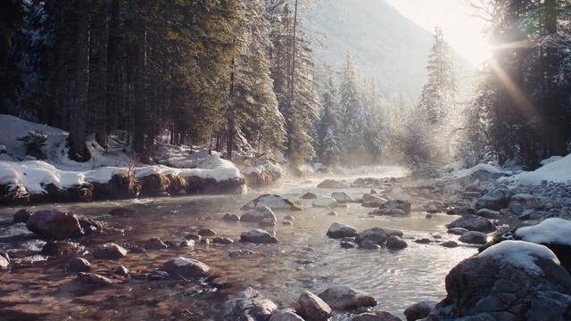 Начало весны в лесу. Ручей, пение птиц смотреть онлайн