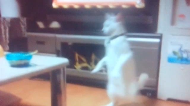 ту ту туу смотреть онлайн