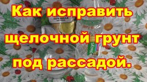 Как исправить щелочной грунт под рассадой