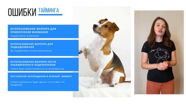 Тайминг в дрессировке