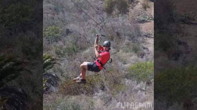 Pedro's Sabbatical 2015 смотреть онлайн