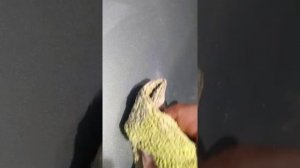 К2 ultra cut полироль