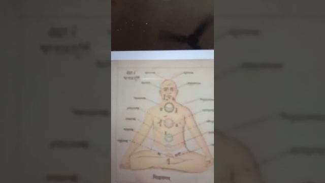 Shatchakra - part 2 смотреть онлайн