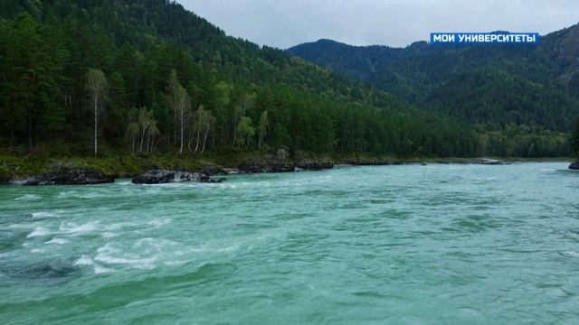 Мои университеты. Алтайский государственный университет смотреть онлайн