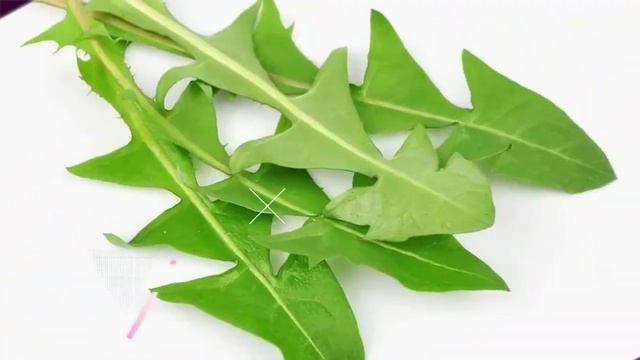 12 Natural Treatments For Multiple Sclerosis смотреть онлайн